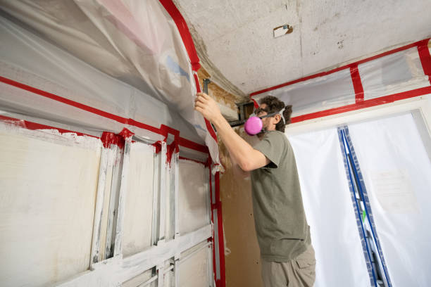  Cheswick, PA Mold Removal Pros