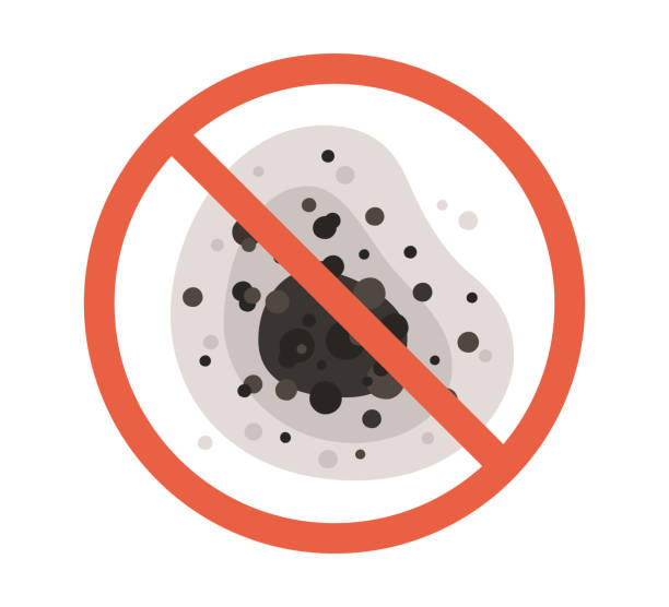 Best Residential Mold Inspection & Testing  in Cheswick, PA